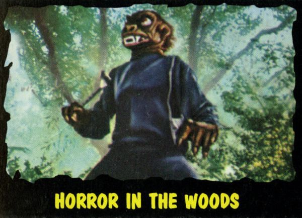 13 Horror In The Woods
